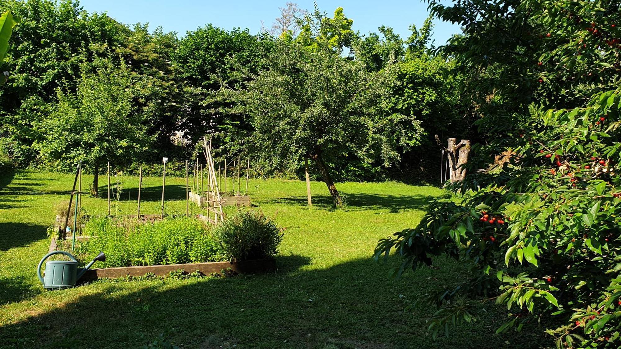 Gite 5 Personnes Fleurville ห้อง รูปภาพ